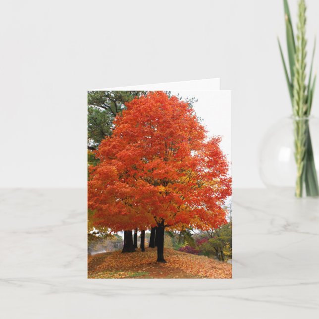 Beautiful Fall Notecard (Front)