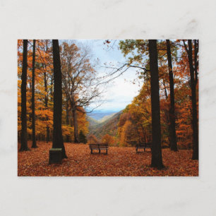 Beautiful Fall Postcard