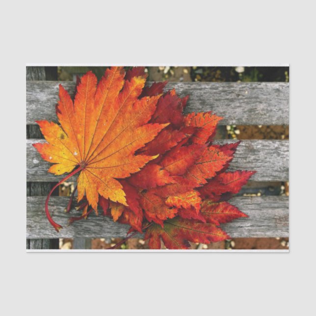 Beautiful Fall Red Leaves on Wooden Fence  Tissue Paper (Front)