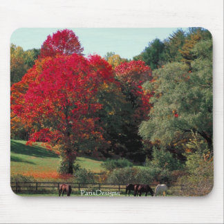Beautiful Fall scene Mouse Pad
