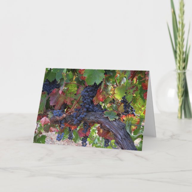 Beautiful Fall Wine Vineyard with Grapes Card (Front)