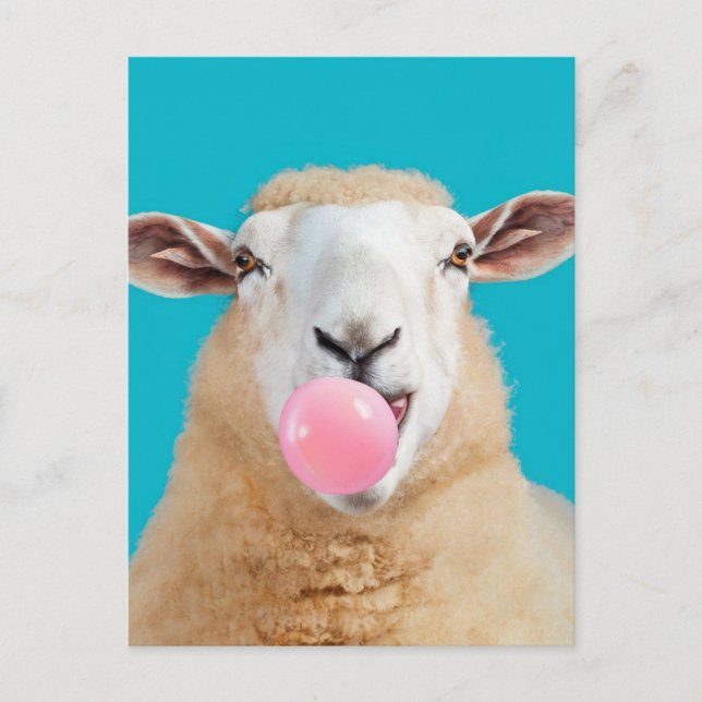 Beautiful Fantasy Sheep Chewing Bubble Gum Postcard (Front)