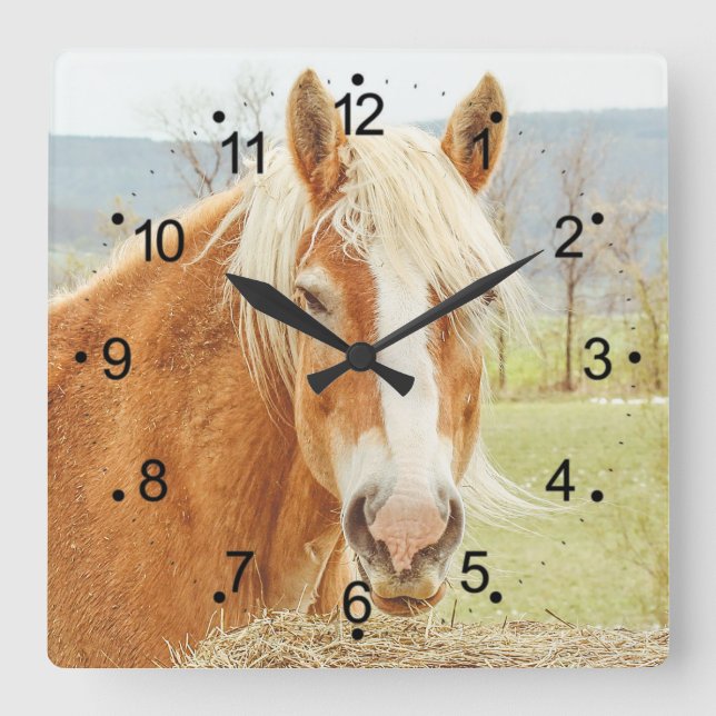 Beautiful Farm Horse & Countryside Square Wall Clo Square Wall Clock (Front)