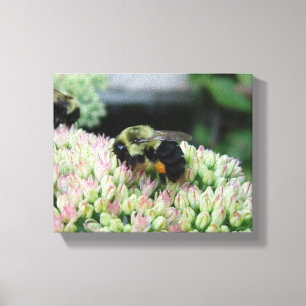 Beautiful Feeding Bee Canvas Print