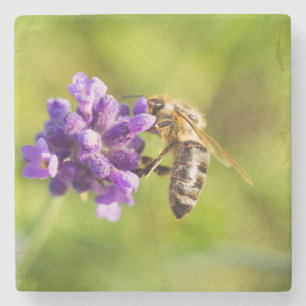 Beautiful Feeding Bee Stone Coaster