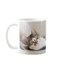 Beautiful Feline Friend Cat Lovers' Photo Mug