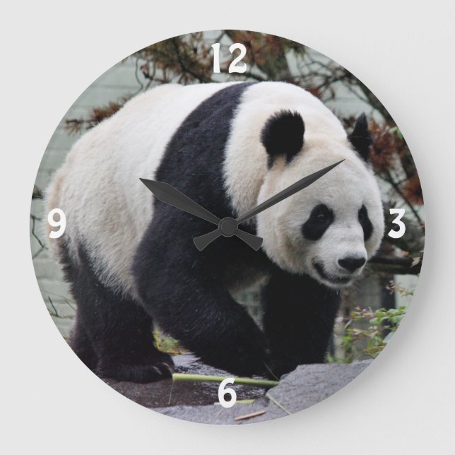 Beautiful Female Giant Panda Large Clock (Front)