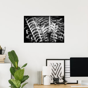 Beautiful fern leaves poster