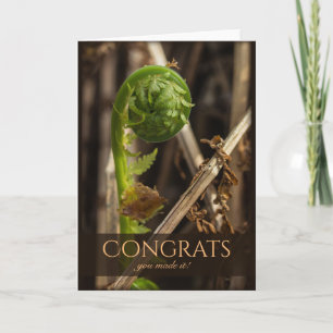 Beautiful fern overcoming winter CC0917 Congrats Card