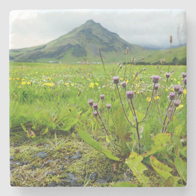 Beautiful Field of Flowers Stone Coaster (Front)