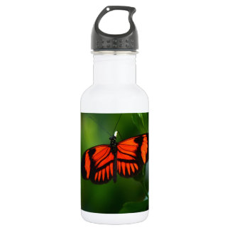 Beautiful Fiery Red and Black Butterfly 532 Ml Water Bottle