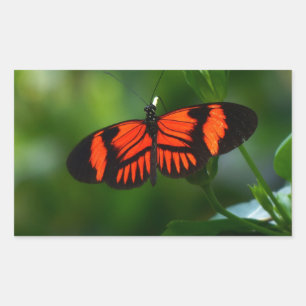 Beautiful Fiery Red and Black Butterfly Sticker