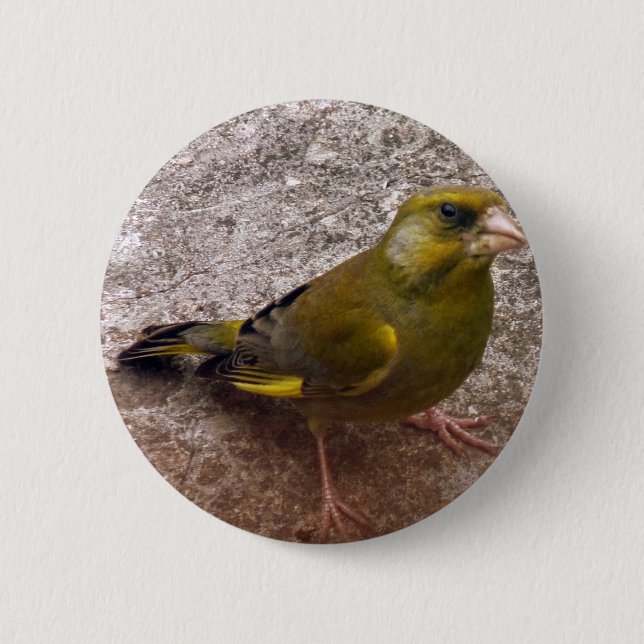 Beautiful Finch 2 Inch Round Button (Front)