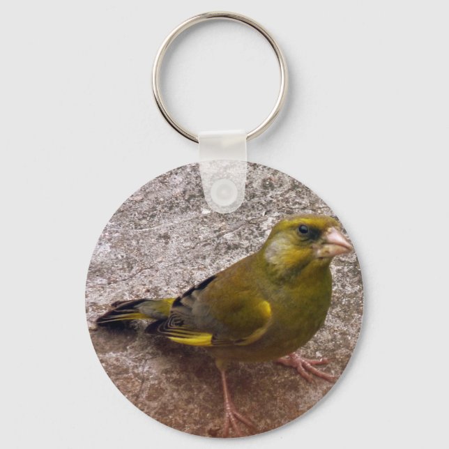 Beautiful Finch Keychain (Front)