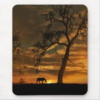 Beautiful Fine Art Horse Photography Mousepad
