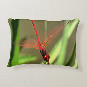 Beautiful Firecracker Dragonfly Acrylic Painting Decorative Pillow