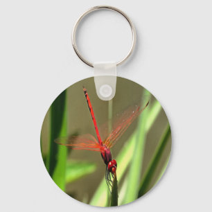 Beautiful Firecracker Dragonfly Acrylic Painting Keychain