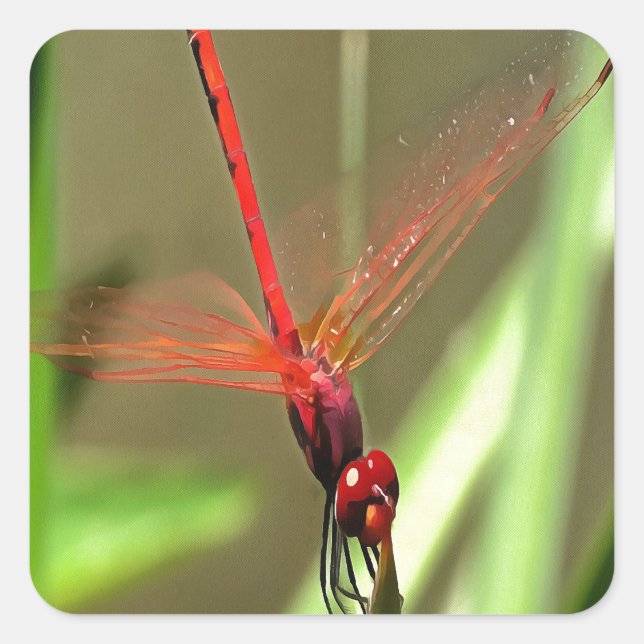 Beautiful Firecracker Dragonfly Acrylic Painting Square Sticker (Front)