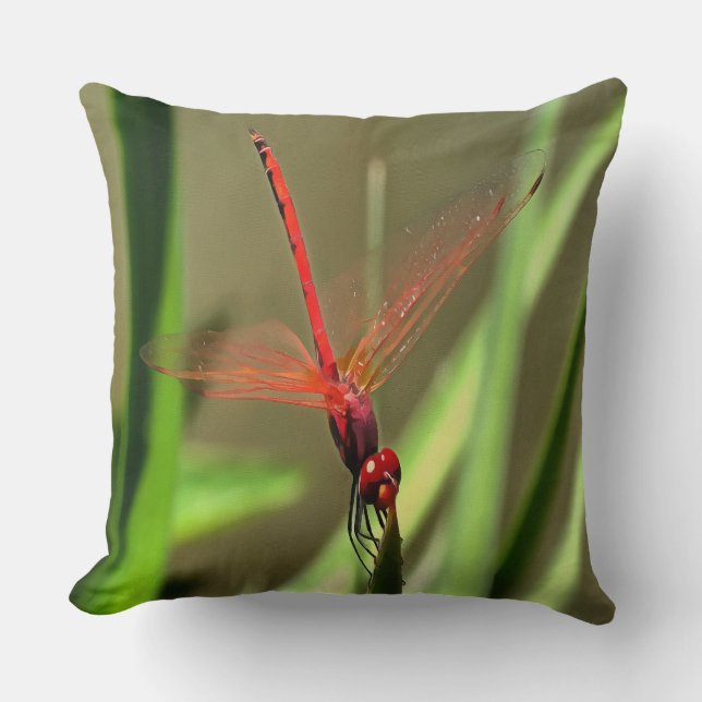 Beautiful Firecracker Dragonfly Acrylic Painting Throw Pillow (Front)