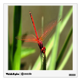 Beautiful Firecracker Dragonfly Acrylic Painting Wall Sticker