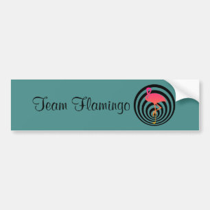 Beautiful flamingo in circles bumper sticker