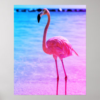 Beautiful Flamingo in the Water on a Beach Poster
