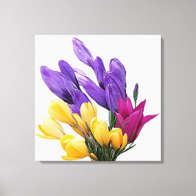 Beautiful floral pretty colorful crocus tulip  canvas print (Front)