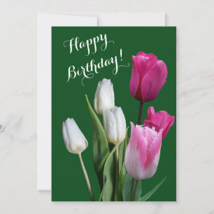 Beautiful floral white pink tulips happy birthday holiday card
