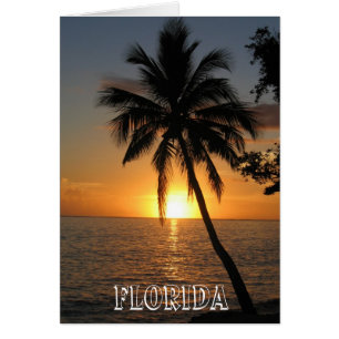 Beautiful Florida