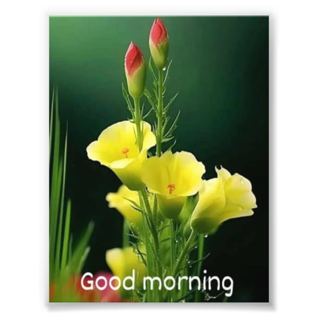 beautiful flowe photo (Front)