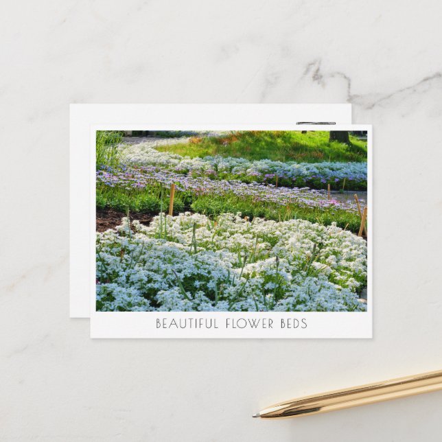 Beautiful Flower Beds Postcard (Front/Back In Situ)