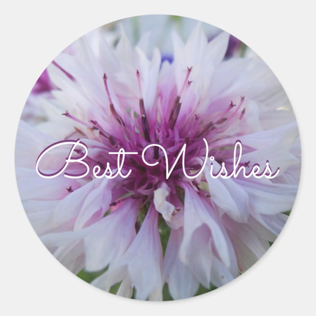 Beautiful flower. Classic Round Sticker (Front)