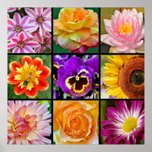 Beautiful flower collage print poster