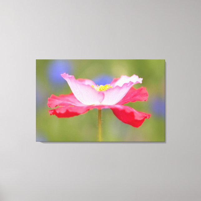 Beautiful flower photo canvas print (Front)