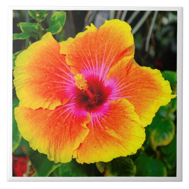 Beautiful flower photo image. tile (Front)