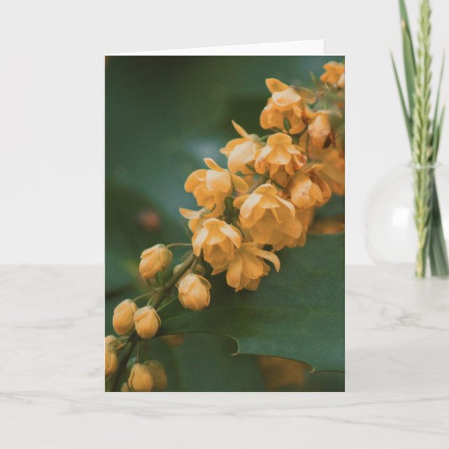 Beautiful flower photography blank card (Front)