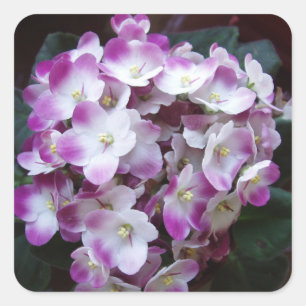 Beautiful Flower Sticker Set