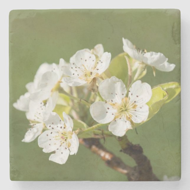 Beautiful Flower Stone Coaster (Front)