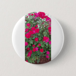Beautiful Flowers 2 Inch Round Button