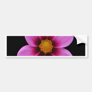Beautiful flowers bumper sticker