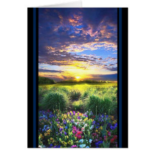 Beautiful Flowers Landscape