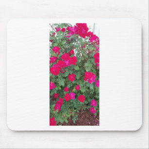 Beautiful Flowers Mouse Pad