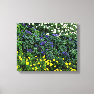 Beautiful Flowers Photo Single Canvas