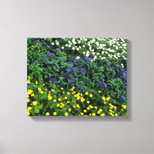 Beautiful Flowers Photo  Single Canvas Print