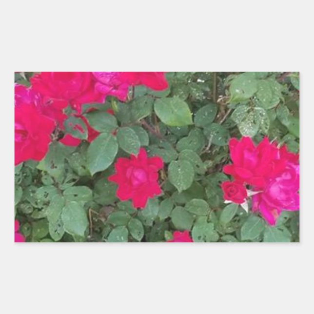 Beautiful Flowers Sticker (Front)