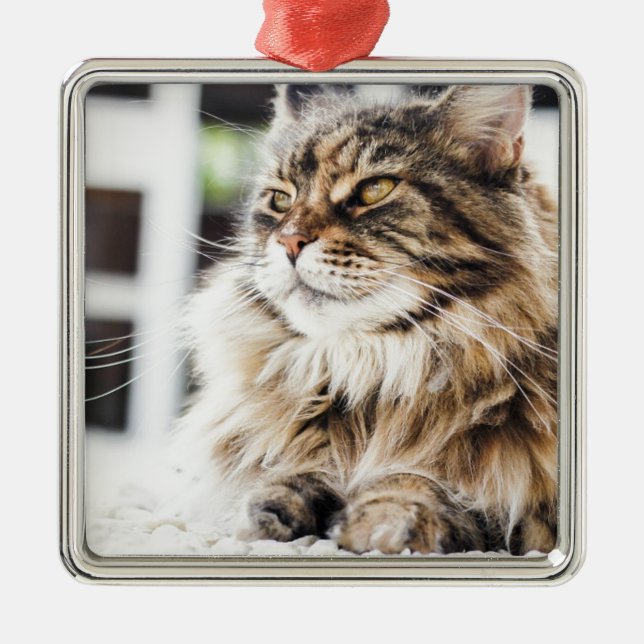 Beautiful fluffy tabby Siberian Persian cat design Metal Ornament (Front)