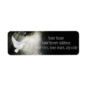 Beautiful flying dove in sunbeam