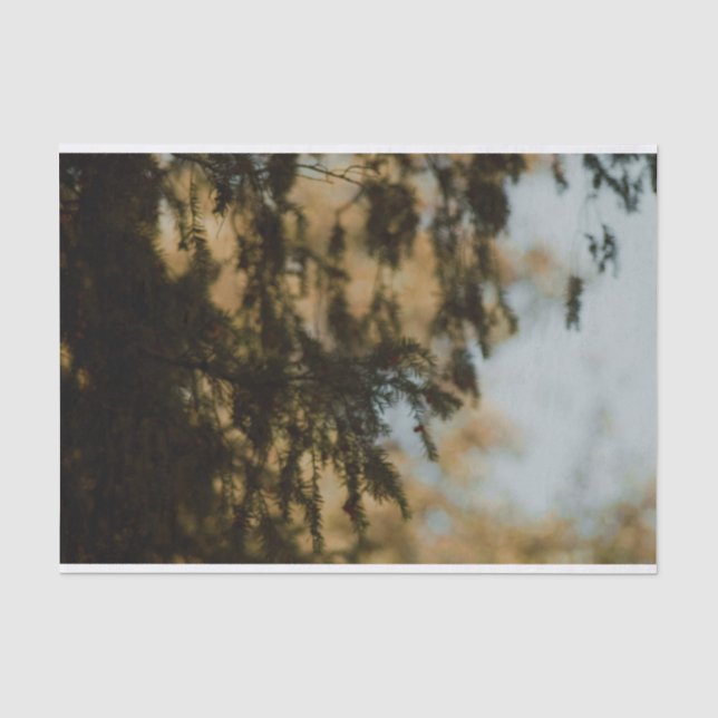 Beautiful foliage leaves Tissue Paper (Front)
