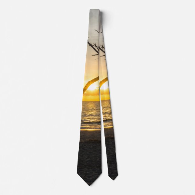 Beautiful Folly Morning Neck Tie (Front)
