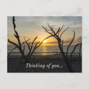 Beautiful Folly Morning Postcard